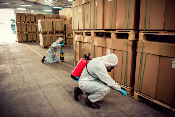 Pest Prevention Services in Liverpool, NY
