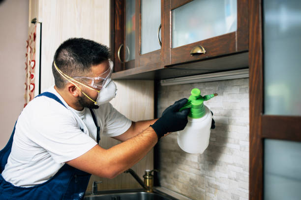 Best Pest Removal Services  in Liverpool, NY