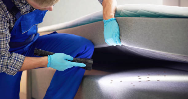 Best Termite Control Services  in Liverpool, NY